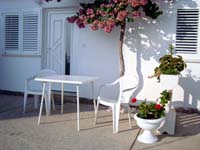 :: Apartments Cogelja :: Primosten :: Sibenik :: Dalmatia :: Split :: Croatia :: Holiday :: Apartments :: House :: Vacation :: Apartment Cogelja :: Urlaub Primosten :: ferien Woche :: Vacanze :: Les vacances :: Kroatien-urlaub :: mitteldalmatien ::beach Primosten ::
