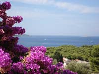 :: Apartments Cogelja :: Primosten :: Sibenik :: Dalmatia :: Split :: Croatia :: Holiday :: Apartments :: House :: Vacation :: Apartment Cogelja :: Urlaub Primosten :: ferien Woche :: Vacanze :: Les vacances :: Kroatien-urlaub :: mitteldalmatien ::beach Primosten ::