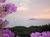 :: Apartments Cogelja :: Primosten :: Sibenik :: Dalmatia :: Split :: Croatia :: Holiday :: Apartments :: House :: Vacation :: Apartment Cogelja :: Urlaub Primosten :: ferien Woche :: Vacanze :: Les vacances :: Kroatien-urlaub :: mitteldalmatien ::beach Primosten ::