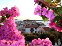 :: Apartments Cogelja :: Primosten :: Sibenik :: Dalmatia :: Split :: Croatia :: Holiday :: Apartments :: House :: Vacation :: Apartment Cogelja :: Urlaub Primosten :: ferien Woche :: Vacanze :: Les vacances :: Kroatien-urlaub :: mitteldalmatien ::beach Primosten ::
