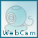 WebCam Split